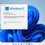 Windows-11_logo